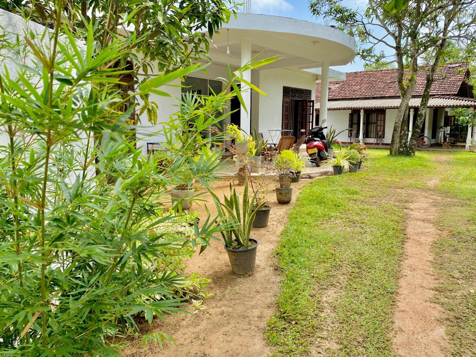 Sasmika Villa Surf And Yoga Hostel Weligama Kültér fotó