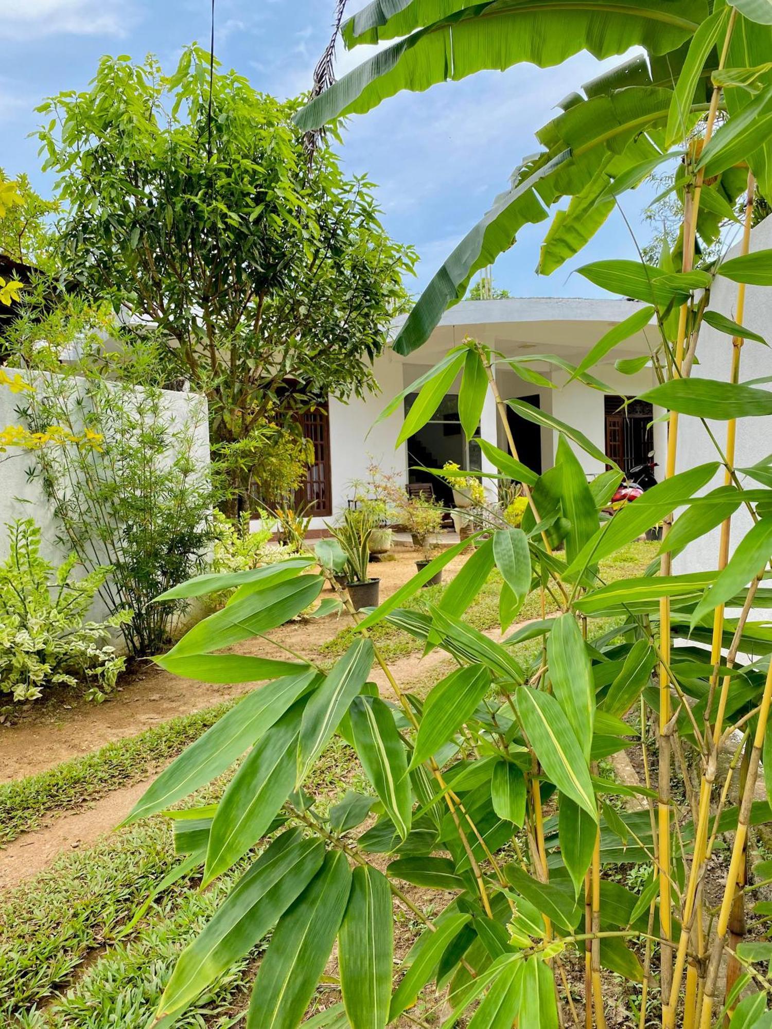 Sasmika Villa Surf And Yoga Hostel Weligama Kültér fotó